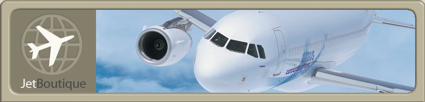 Site Logo and Airbus Corporate Jet