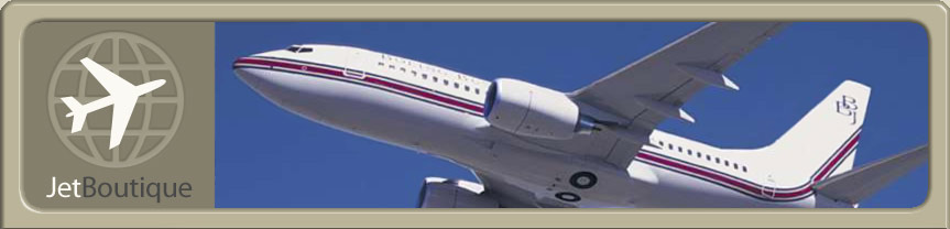 Site Logo and Boeing Business Jet